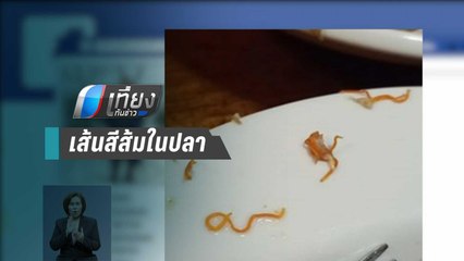 เตือน! หนอนพยาธิในปลาทะเล ชอนไชในร่างกายได้  แนะปรุงสุกก่อนรับประทาน | เที่ยงทันข่าว