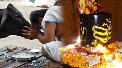 New Year 2020 : नए साल की शुरुआत में करें ये 5 उपाय | New Year 2020 Upay for Money | Boldsky