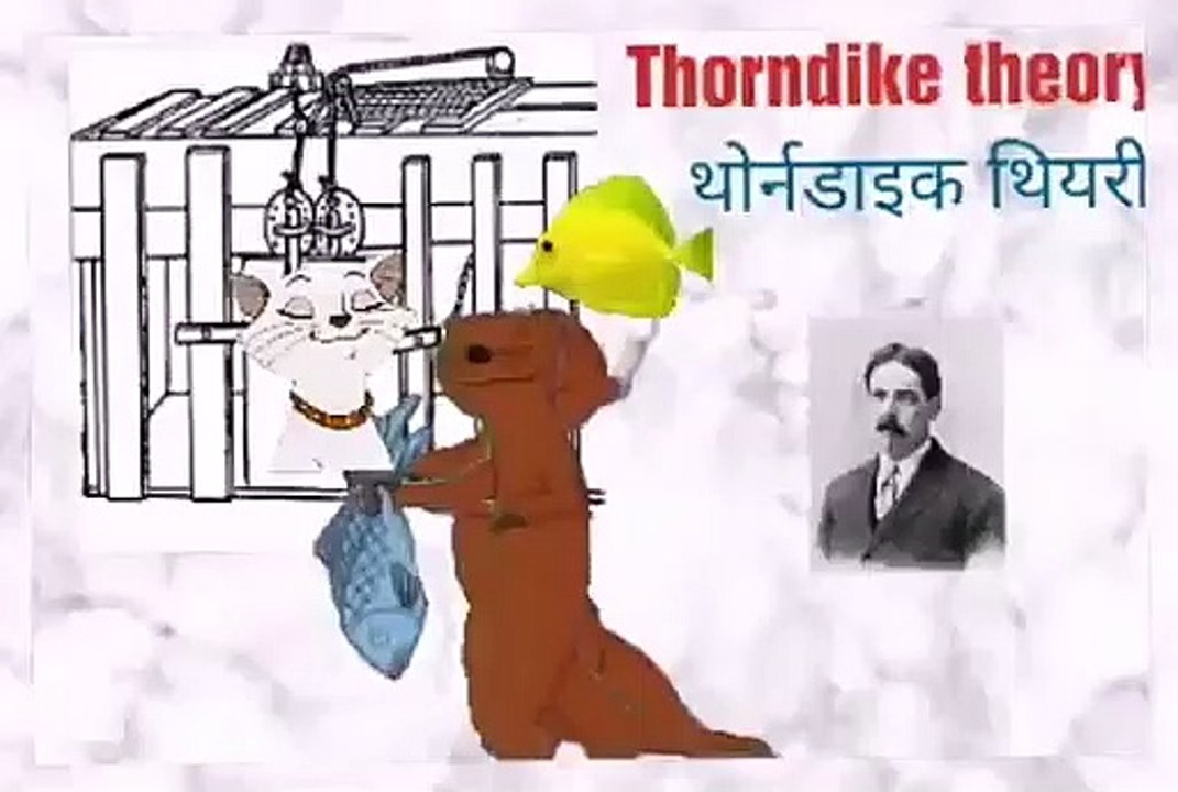 Thorndike theory- thorndike theory of learning- trial and error theory.