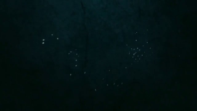 Custard Fruit Salad recipe || Fruit Salad with Custard Recipe || Quick Dessert Recipe