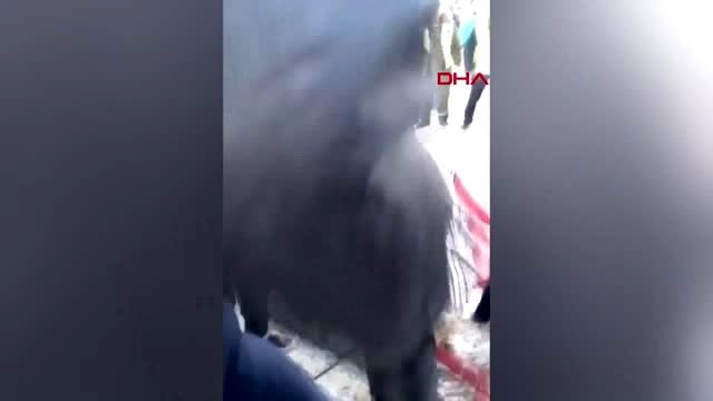 Kazakistan'da uçak kazası ölü sayısı 15'e çıktı