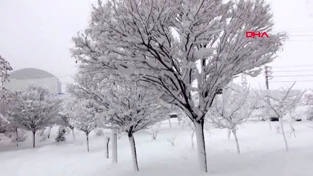 Van başkale ile bahçesaray ile hakkari merkez ve yüksekova'da okullara kar tatili