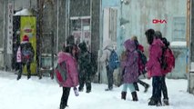 Van başkale ile bahçesaray ile hakkari merkez ve yüksekova'da okullara kar tatili