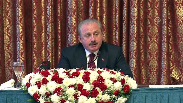 TBMM Başkanı Şentop - Libya ile yapılan anlaşma - TBMM