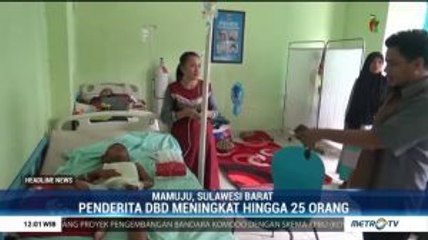 Mamuju Tetapkan Status KLB DBD
