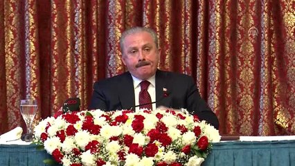 TBMM Başkanı Şentop - Libya ile yapılan anlaşma