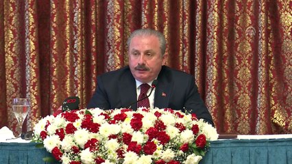 Şentop: 'Yapılacak çok şey var' - TBMM