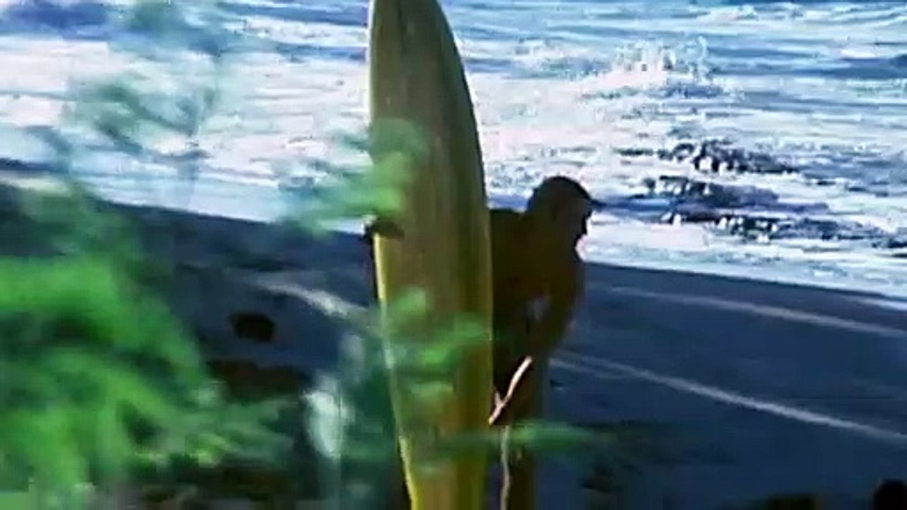 White Wash - Trailer