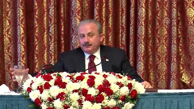 TBMM Başkanı Şentop - Cumhurbaşkanlığı Hükümet Sistemi