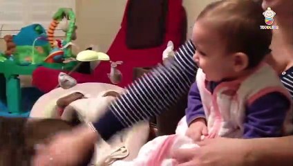 Try Not To Laugh Challenge - Funny Animals Fun Time With  Baby Videos
