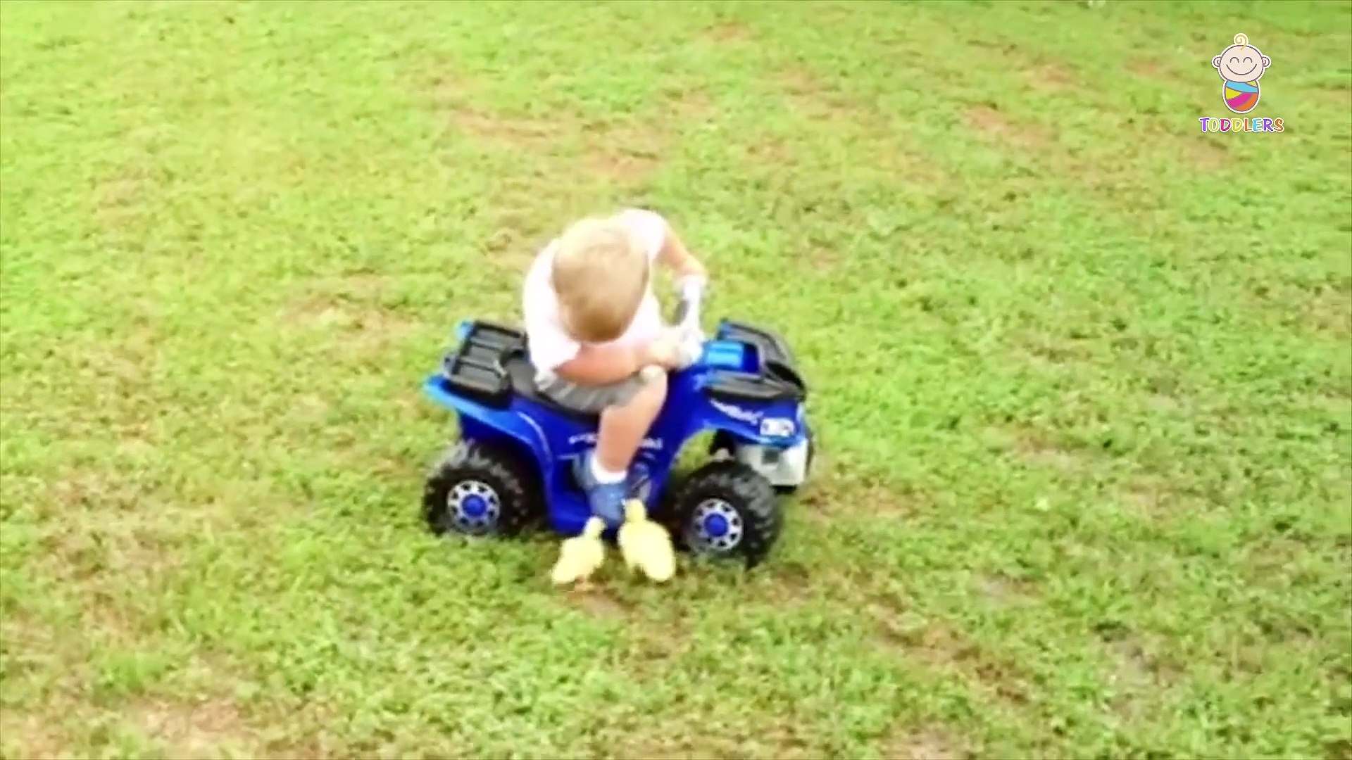 ⁣Funny Baby Plays with pets - Funny Baby Videos