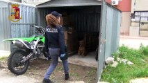 Siracusa - Sequestrati 300 chili di ''botti'' illegali (23.12.19)