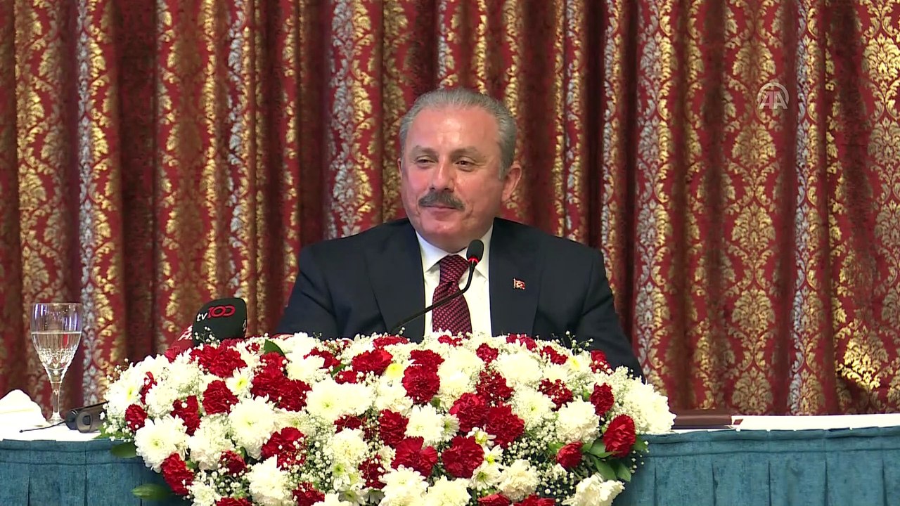 Şentop: 'Mevzuata göre siyasi parti kurmak gerekli şartlar sağlandıktan sonra herkes için bir tercihtir' - TBMM