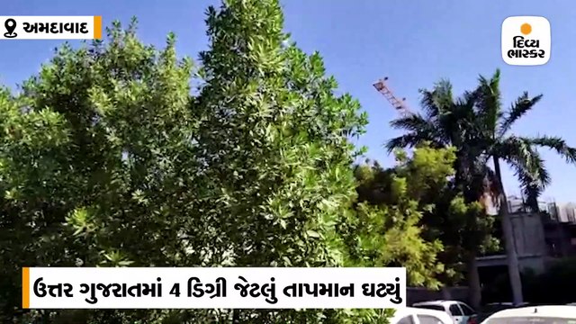 માઉન્ટ આબુમાં તાપમાન 1 ડિગ્રી અમદાવાદમાં ઠંડો પવન ફૂંકાતા લોકો ઠૂંઠવાયાં