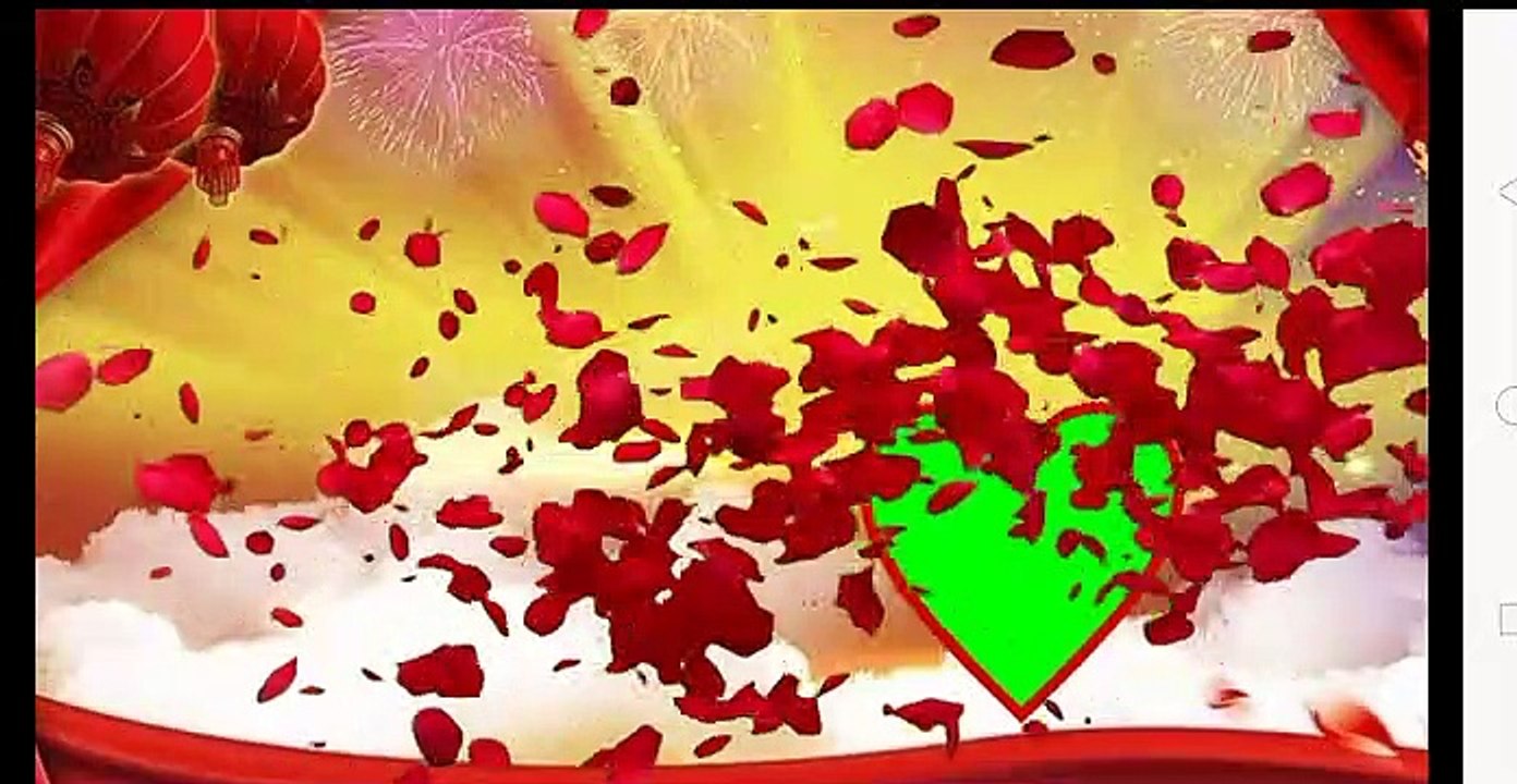 Wedding green screen animation video and blue screen animation video