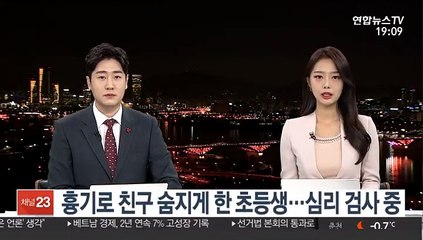 친구 흉기로 찌른 초등생…심리 검사 중