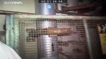 Évtizedekig elhúzódó takarítás Fukusimában