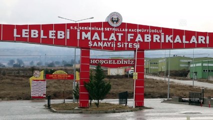 Serinhisar leblebisi 40 ülkeye satılıyor - DENİZLİ