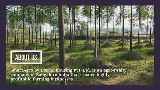 Best Investment Plan in India with High Returns!