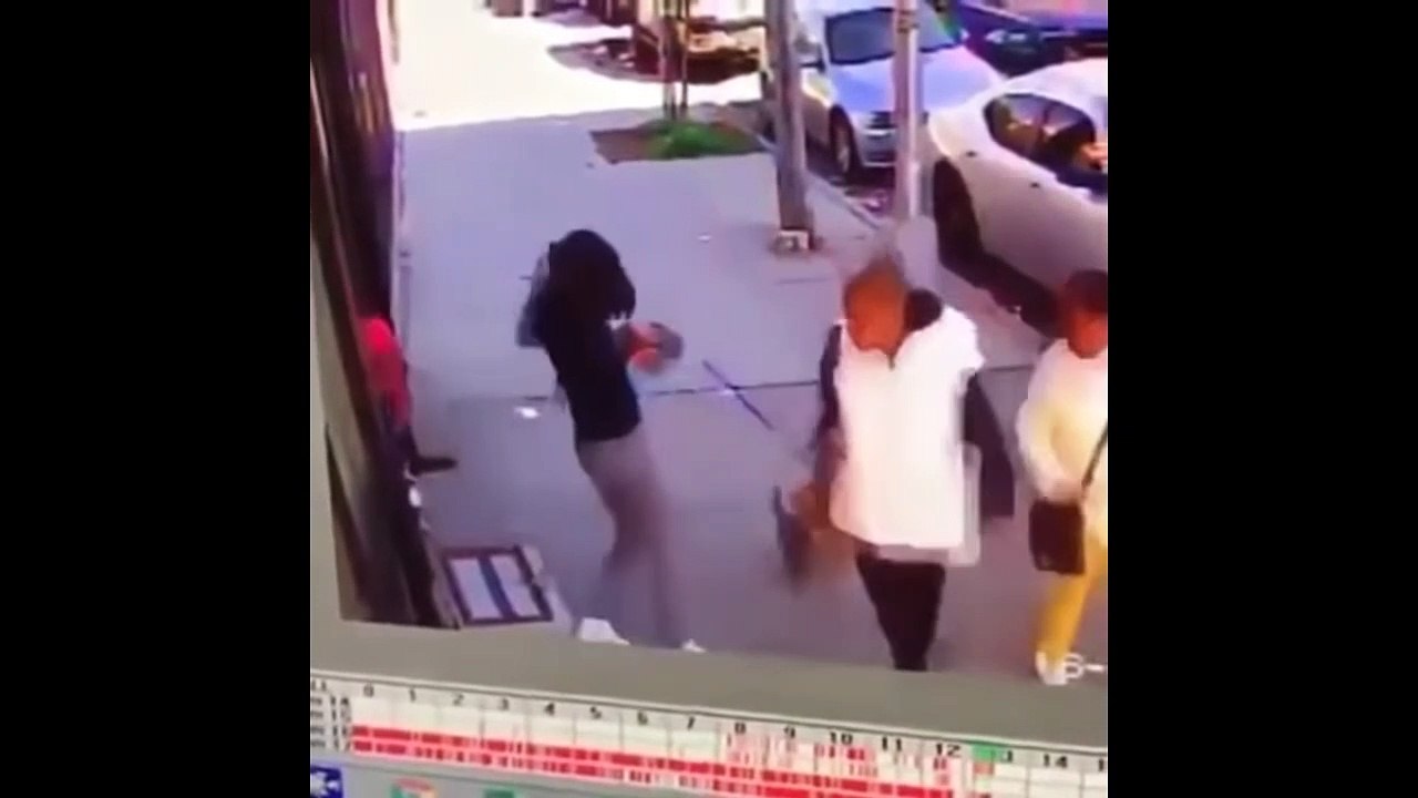 Angry Cats Vs Dogs Funny Compilation Video Ever- cats and dog Fight-