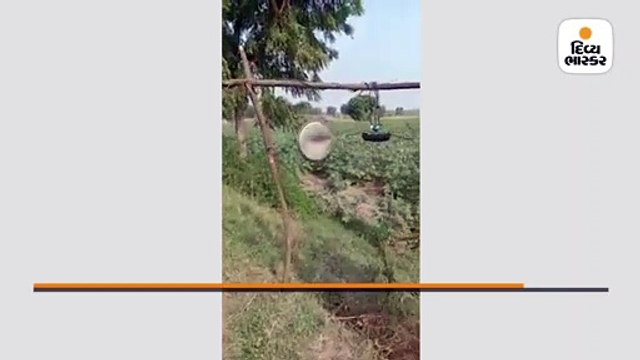 તીડ ભગાડવા ખેડૂતે ખેતરમાં અજમાવ્યો દેસી જૂગાડ, સોશિયલ મીડિયા પર વાઇરલ વીડિયો