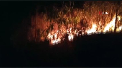 Trabzon'daki örtü yangınları tamamen söndürüldü