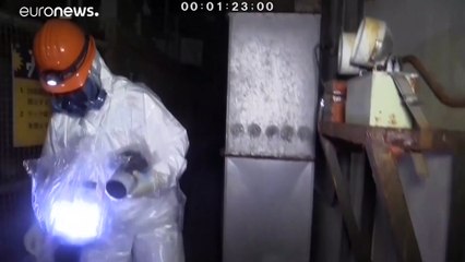 Japón anuncia retrasos en la retirada de combustible de Fukushima