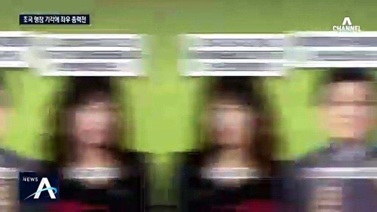 [여랑야랑]조국 영장 기각에 좌우 총력전 / 검찰 비판에 청와대도 가세