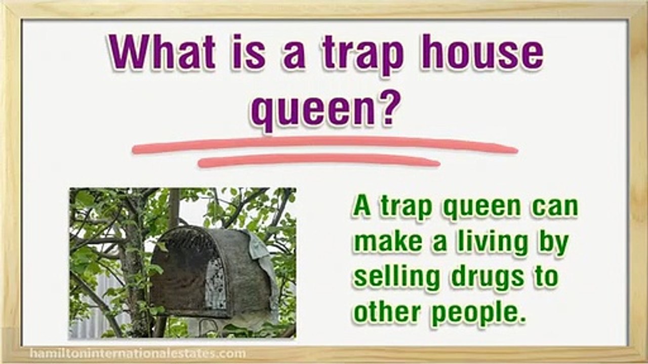What is a trap house video Dailymotion