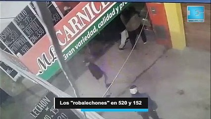 Impresionante ataque de "robalechones" en una carnicería de Romero