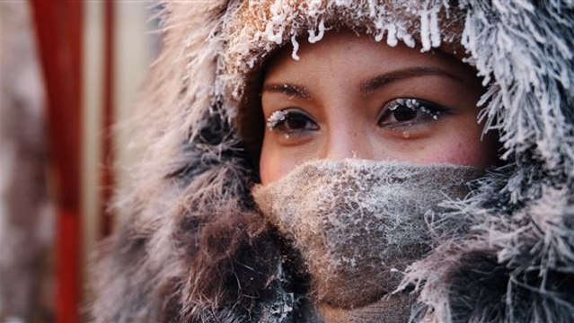 Willkommen auf dem kältesten Markt der Welt
