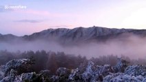 Stunning drone showcases sea of clouds covering Mount Lu in southern China