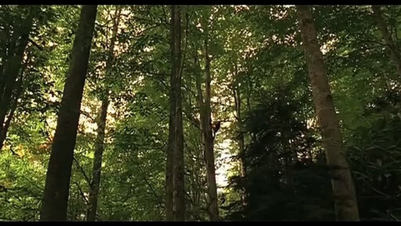 Um Doce Olhar - Trailer