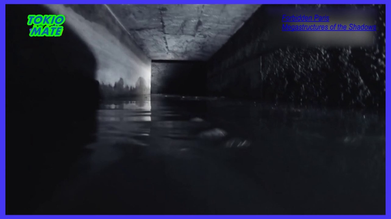The Underground World of Paris