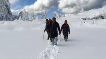 Snow fall in shimla || PahariNatioN