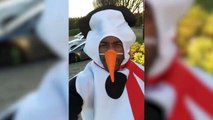 Michail Antonio (West Ham) se estrella con el coche mientras iba vestido de pingüino