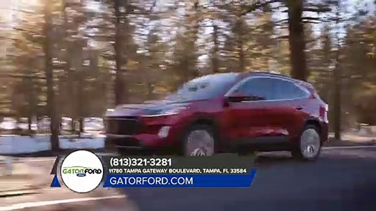 2020  Ford  Escape  Wesley Chapel  FL | Ford  Escape  Brandon FL