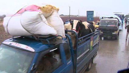 Syrie : l'exode massif des civils d'Idleb