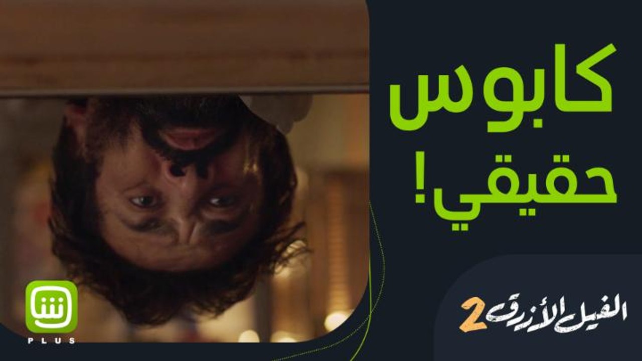 لا تخاف ولكن احذر من كوابيس نصف الليل  الفيل ال...