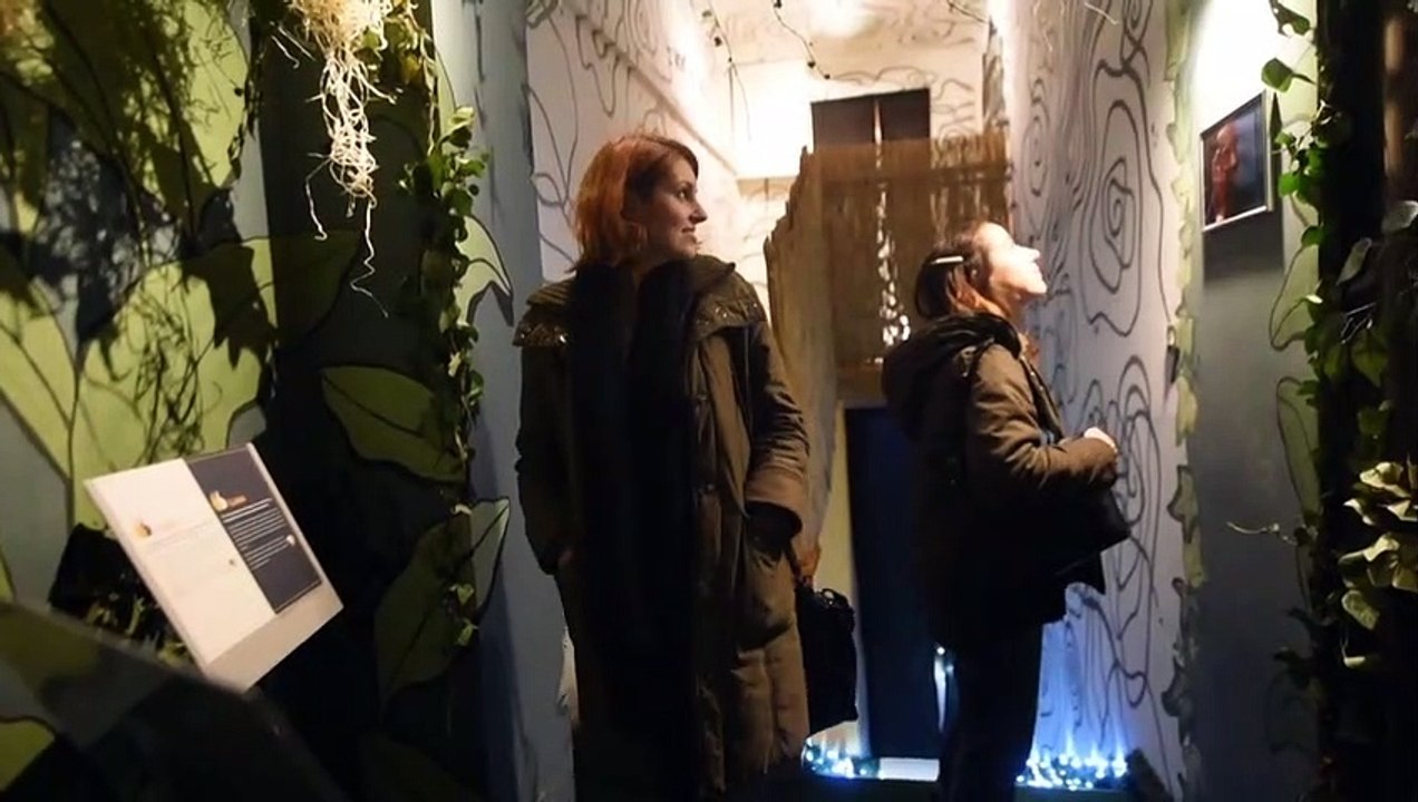 A Zagreb, un musée de la gueule de bois contre les trous noirs des nuits blanches