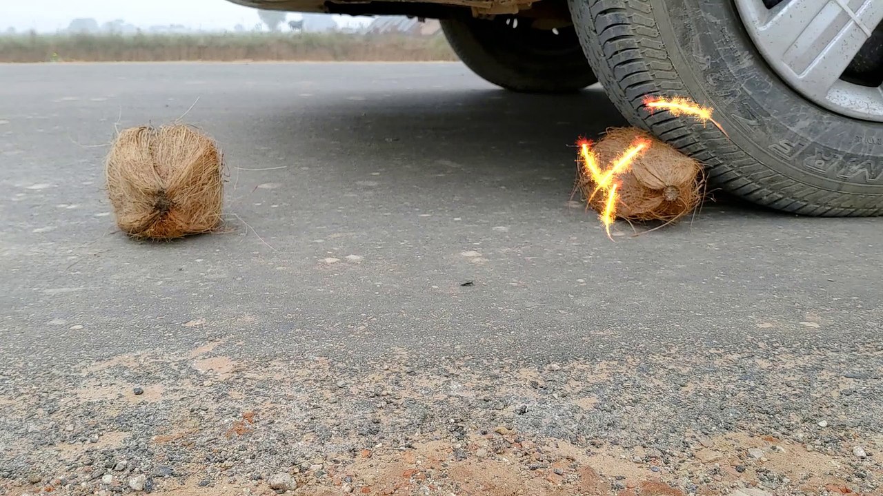 Car vs Coconut Experiment