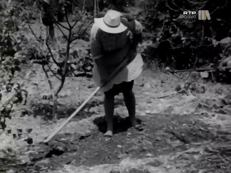 Cantos das Mulheres no Trabalho na década de 70 em Castelo Branco, Aveiro e Viseu