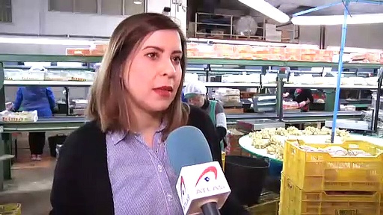 Recogida a contrarreloj de uvas para llegar a las campanadas