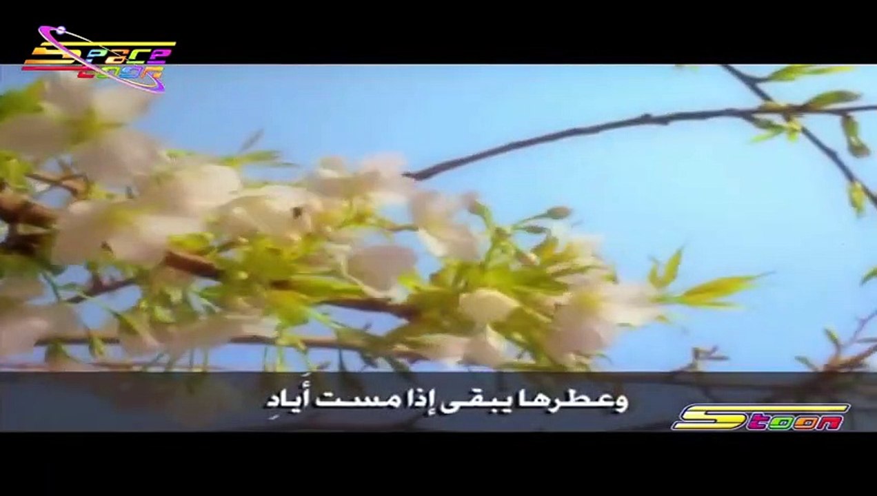 قمر سيدنا النبي قناة سبيستون