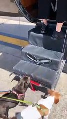 جميلات La Casa De Papel يحتفلن بالكريسماس على طريقتهم الخاصة