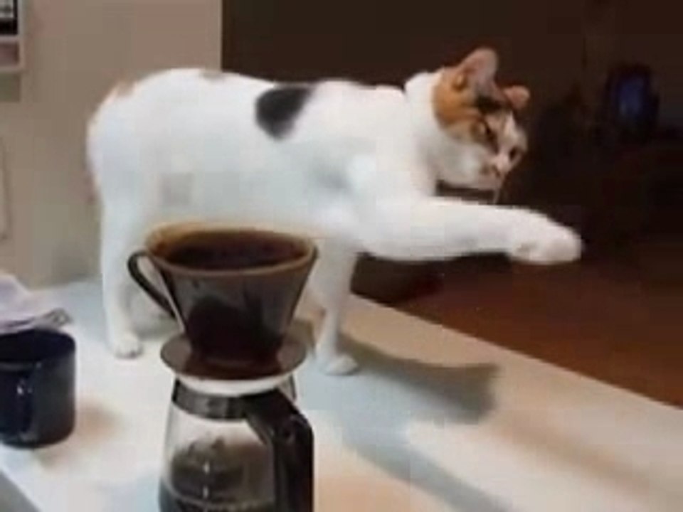 c'est l'heure du café