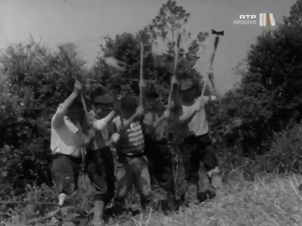 Cantos de Trabalho – os cantos durante a lavoura: cava da terra em 1970