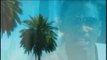 Summer With Miami - Jim Jones Feat Trey Songz
