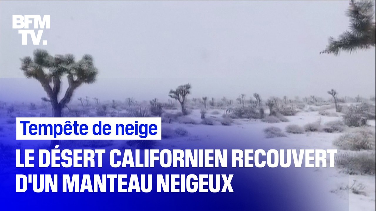 Le désert californien de Joshua Tree recouvert...