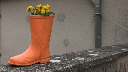 Les 7 couleurs du vent